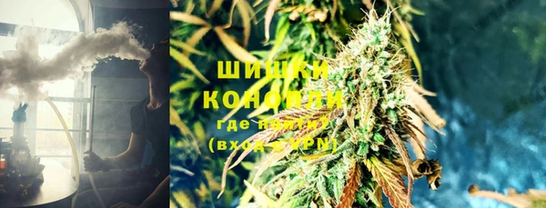 дживик Абинск