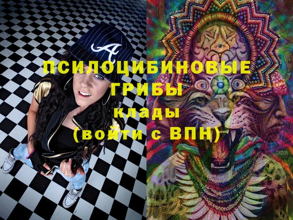 дживик Абинск
