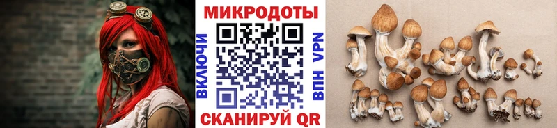 Галлюциногенные грибы мицелий Искитим